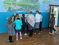 �����������