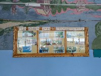 �����������